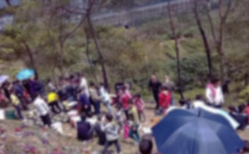 烈士陵園掃墓有感(集合7篇)