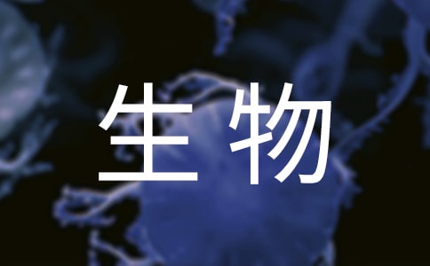 ����˽̌W���Y