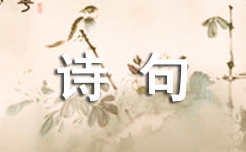 ��Ԋ��������Z䛅R��80�侫�x