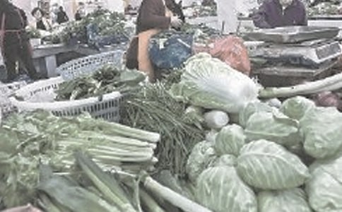 �Ј��I�N���T�������Y