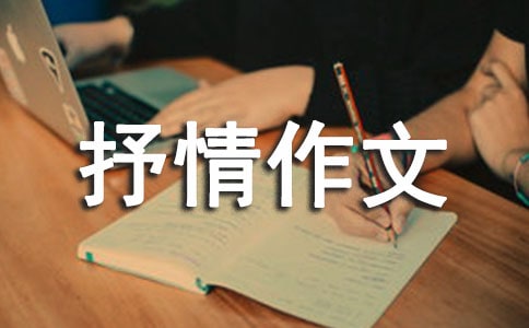 【精華】抒情作文600字四篇