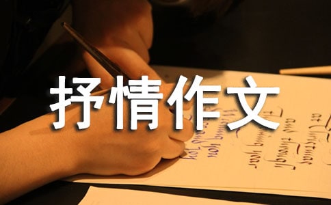 待白不至_抒情作文