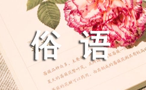 �����r�V���Z�����ϡ�