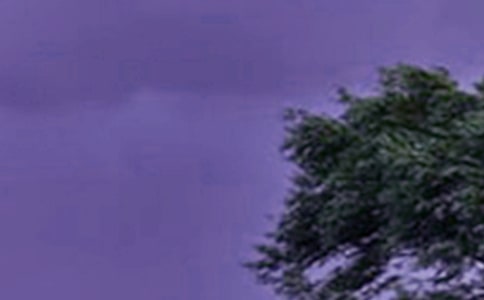 �_�L�������ĺϼ�[15ƪ]