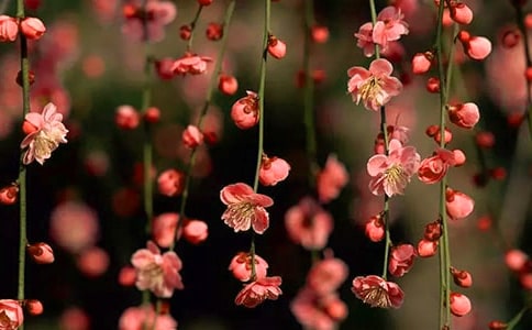 �y����Л]���һ��\