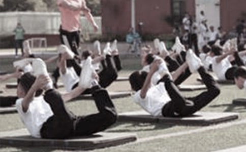 �w���̌W(xu��)���£���(zh��)��ֻ��ɣ����