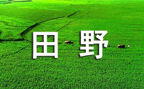 關于田野作文3篇