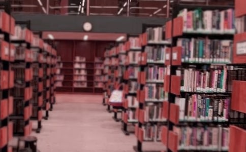 圖書調查報告作文