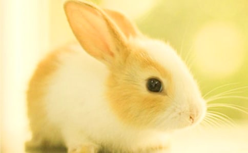 ��ϲ�g����������