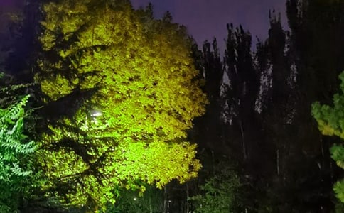 �����־�����İ������x185�䣩