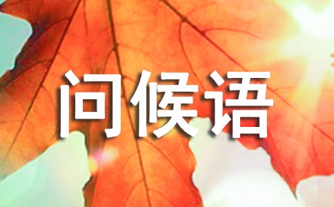 2023�궬�������Z66��