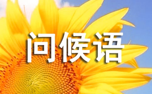 2023�궬�������Z17��