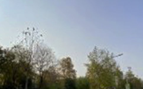 ���������簲�İ���ȫ60��