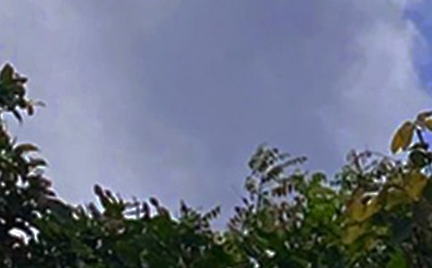 經典溫馨午安文案320句