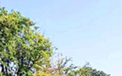 �����簲�İ���ȫ�����x100�䣩