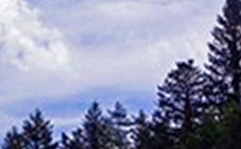 �P�ڄ�־�簲�İ��R�������x80�䣩