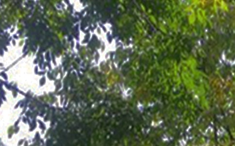 ��(j��ng)�䂀���簲�İ��R��60�侫�x