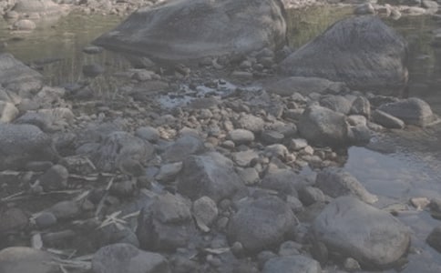 ��СϪ���ĸ衷�x��У�ͨ��17ƪ��