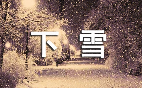 關于下雪作文 精選