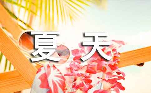 《銀頂針的夏天》讀后感12篇