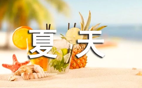 銀頂針的夏天讀后感