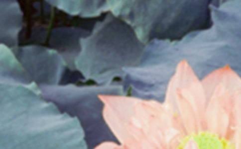 ����ף���Z�����x680�䣩