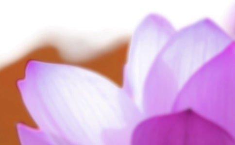 �P���������İ�15ƪ����Ʒ��