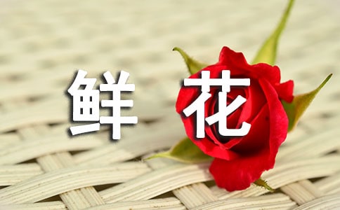 �r��ӆُ��ͬ2ƪ