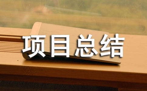 項目總結匯報范文通用
