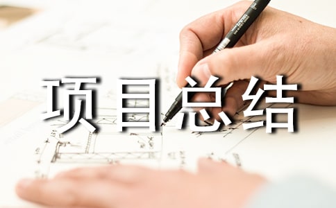 信息技術項目總結