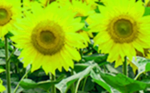 �x���b�h�����տ��ء��и�