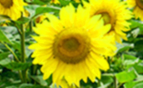 ���տ����ġ����T��