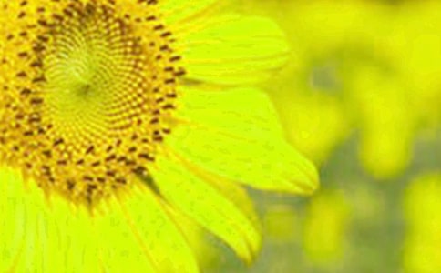 ���꼉���g���ô����տ����u�n��