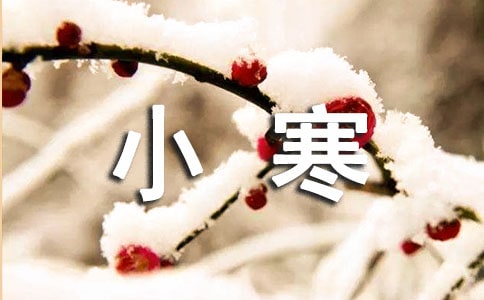 С���B(y��ng)������