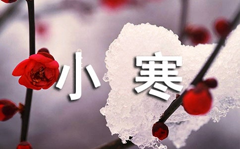 兒歌小寒文案(精選240句)