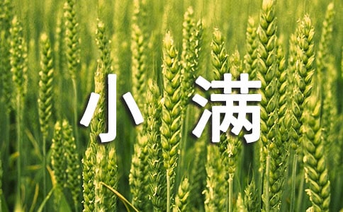 С�M��(ji��)���İ�����