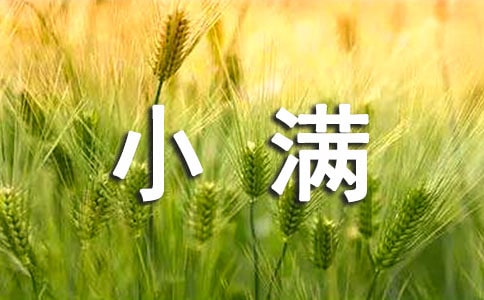 小滿節(jié)氣期間茶葉農(nóng)事安排與技術(shù)要點(diǎn)