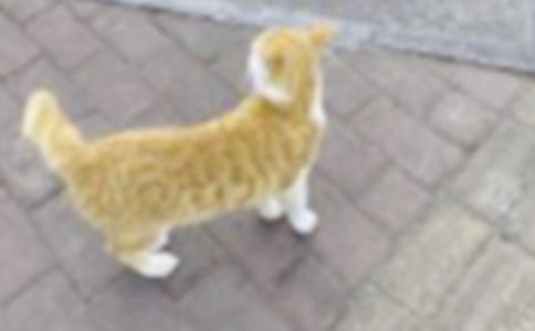 �ɐ۵�С؈����[���A]