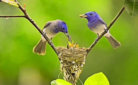 С�B������