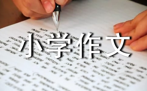 ����һֻ����؈С�W(xu��)����