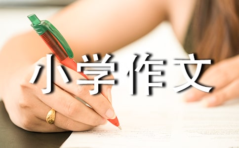 �ҵ��������С�W����