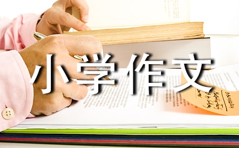 (�])���y(t��ng)�Ļ���С�W(xu��)����300��6ƪ