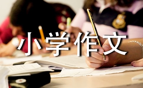 柳絮小學(xué)作文
