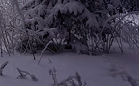 小雪節氣總結