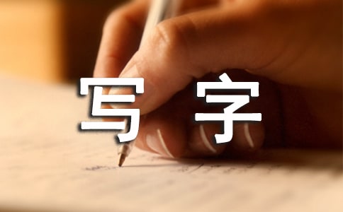 寫字樓個人年終工作總結范文