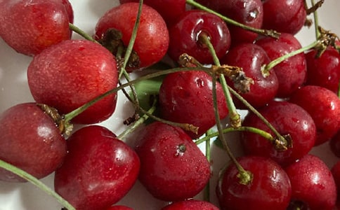 ���Ҙ����ġ�����15ƪ��