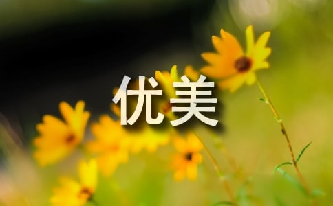 �茑�����ă����̾�