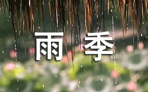 �꼾������