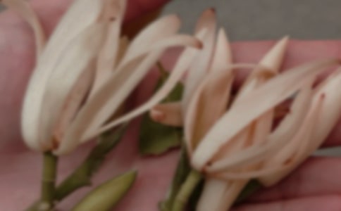 �����m��������
