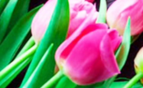 �P���������֮��̫�A���ι���
